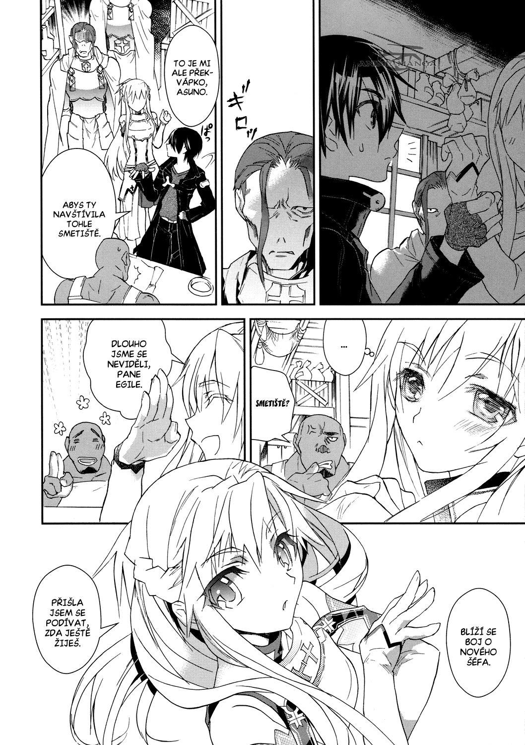 Sword_Art_Online_c03_008 kopie.jpg